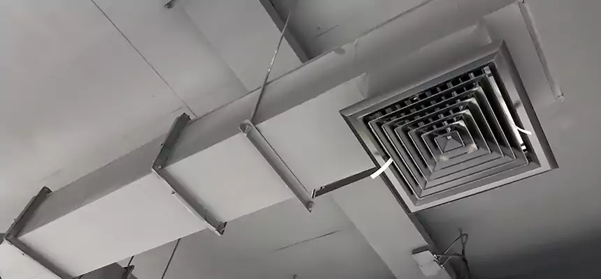 Our Rodent Droppings In Vents Services in Santa Clara, CA