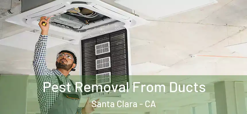 Pest Removal From Ducts Santa Clara - CA