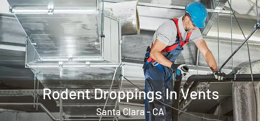 Rodent Droppings In Vents Santa Clara - CA