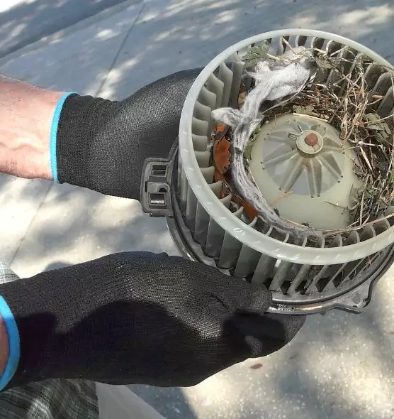 About Air Duct Mice Removal in Santa Clara, CA