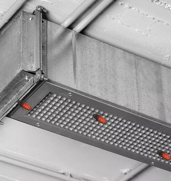 Affordable Insect Removal from Air Ducts in Santa Clara, CA