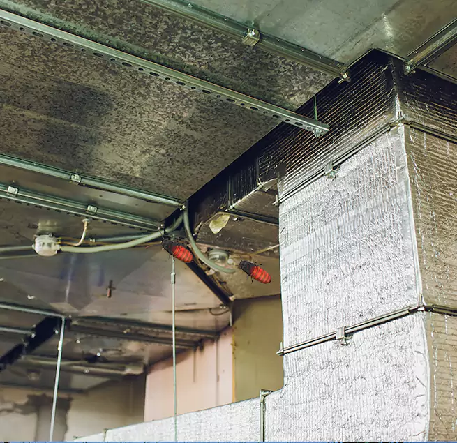 Why Homeowners & Businesses Trust Us in Santa Clara, CA?