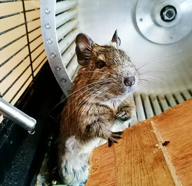 Why Homeowners & Businesses Trust Us Santa Clara, CA?