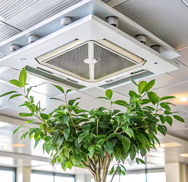 Why Homeowners & Businesses Trust Us in Santa Clara, CA